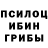 Псилоцибиновые грибы Psilocybe Joni Blaick