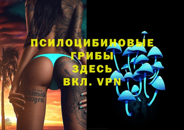 мдпв Абдулино