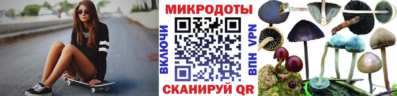 Псилоцибиновые грибы Psilocybe Вичуга